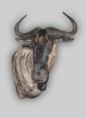 /album/afrika/a130327085622-jpg/